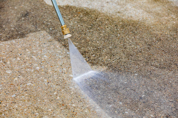 Best Animal Enclosure Cleaning  in Youngstown, OH